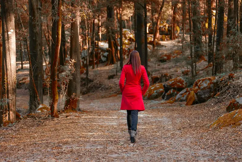 Being Lonely: Who Are These People Who Like To Be Alone?